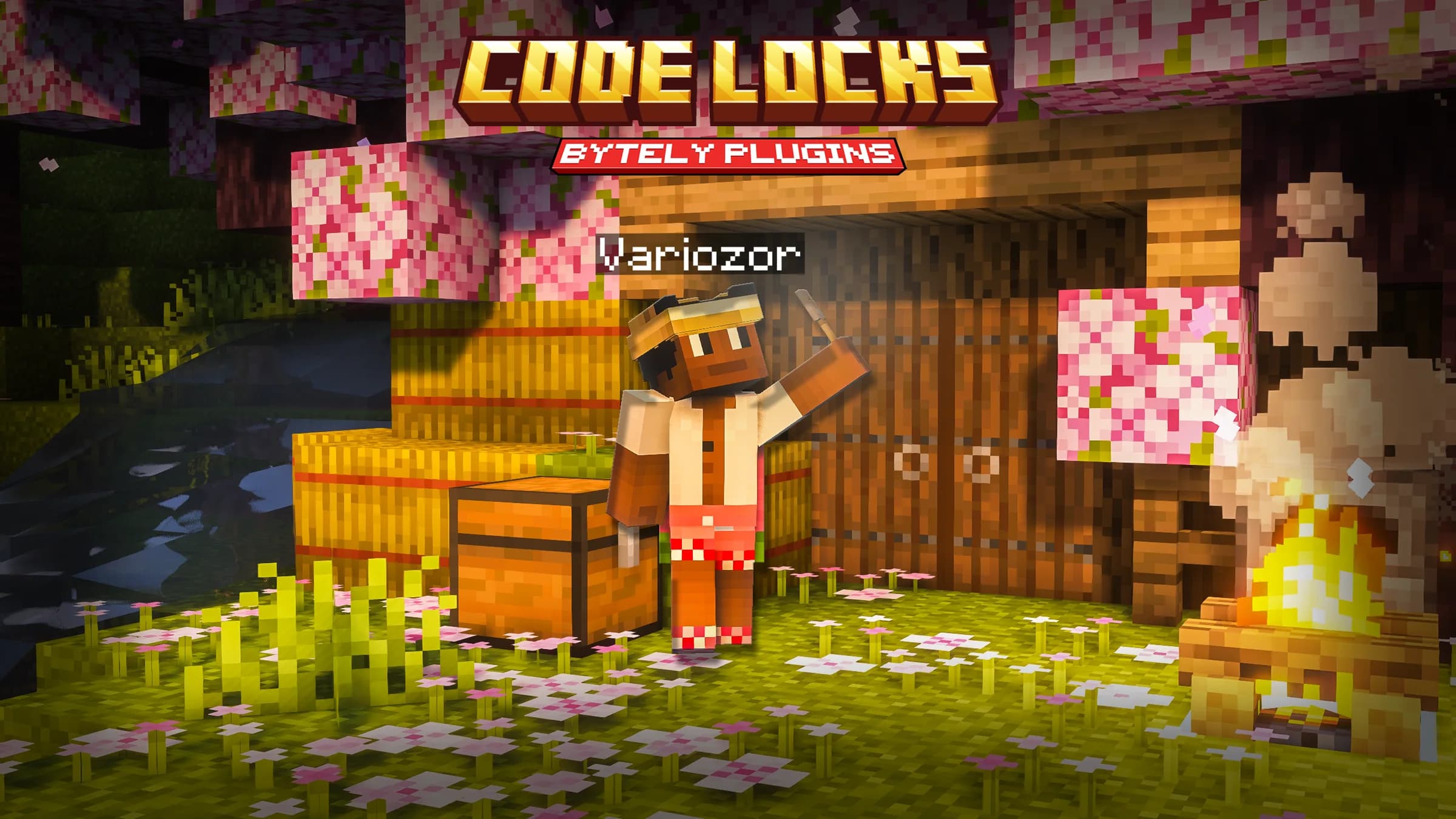 Code Locks